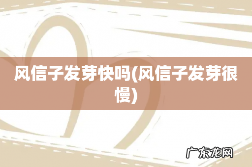 风信子发芽很慢 风信子发芽快吗