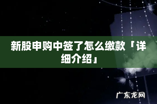 新股申购中签了怎么缴款「详细介绍」