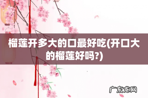 开口大的榴莲好吗? 榴莲开多大的口最好吃