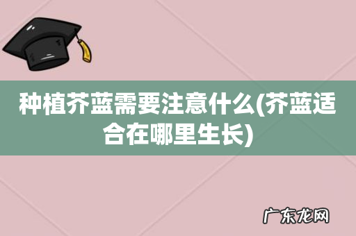 芥蓝适合在哪里生长 种植芥蓝需要注意什么