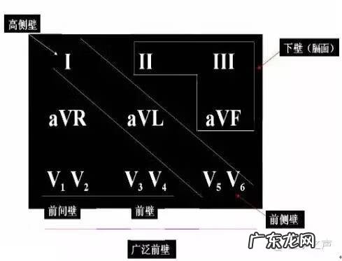 心电图详细图解 心电图怎么看图解