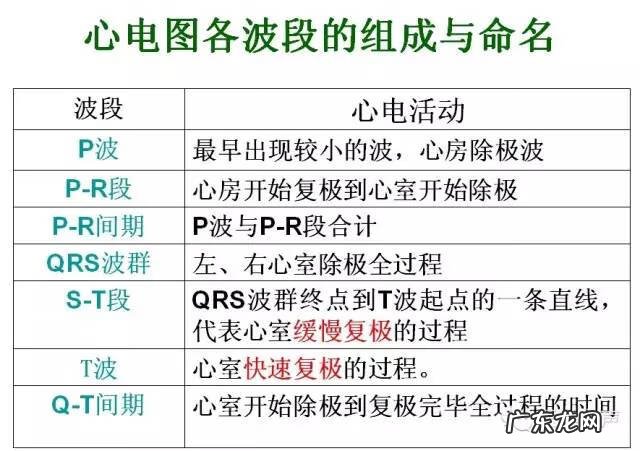 心电图详细图解 心电图怎么看图解