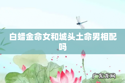 白蜡金命女和城头土命男相配吗