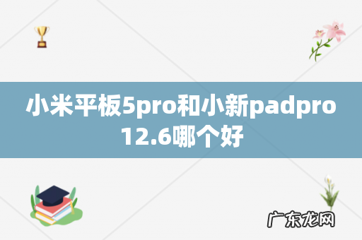 小米平板5pro和小新padpro12.6哪个好