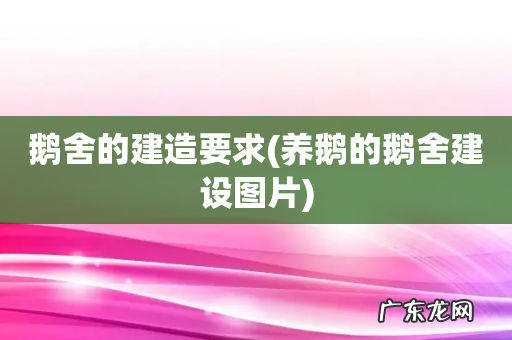 养鹅的鹅舍建设图片 鹅舍的建造要求