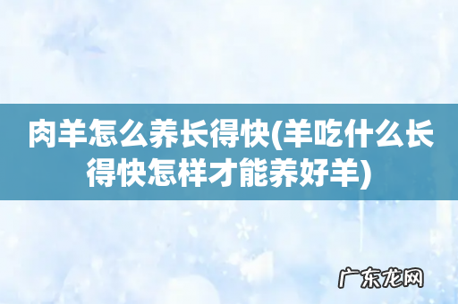 羊吃什么长得快怎样才能养好羊 肉羊怎么养长得快