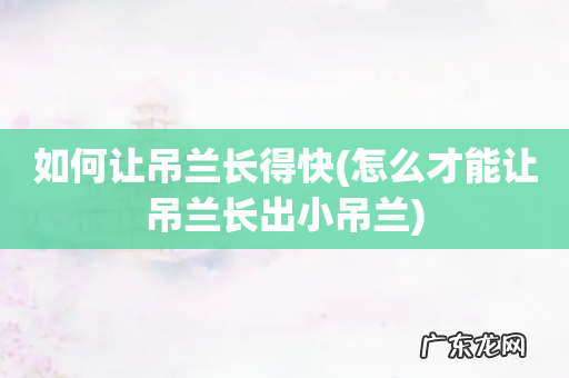 怎么才能让吊兰长出小吊兰 如何让吊兰长得快