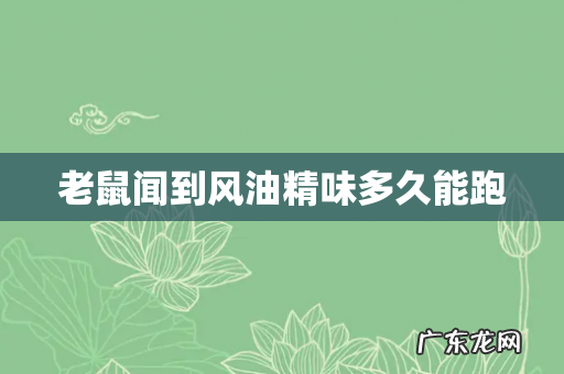 老鼠闻到风油精味多久能跑