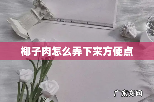 椰子肉怎么弄下来方便点