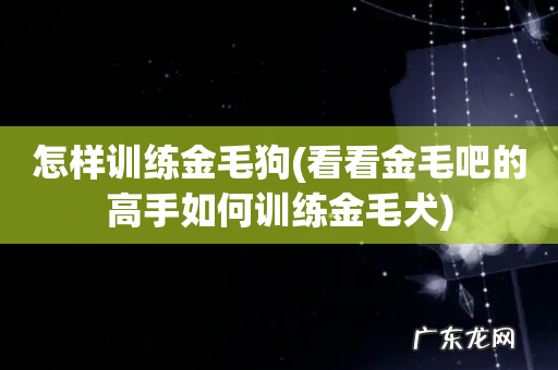 看看金毛吧的高手如何训练金毛犬 怎样训练金毛狗