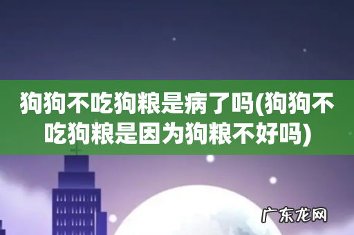 狗狗不吃狗粮是因为狗粮不好吗 狗狗不吃狗粮是病了吗