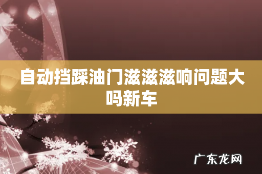 自动挡踩油门滋滋滋响问题大吗新车