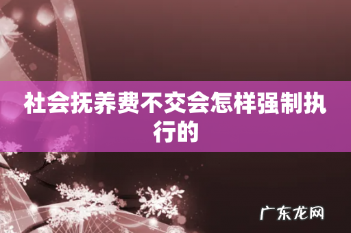 社会抚养费不交会怎样强制执行的
