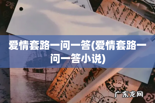 爱情套路一问一答小说 爱情套路一问一答