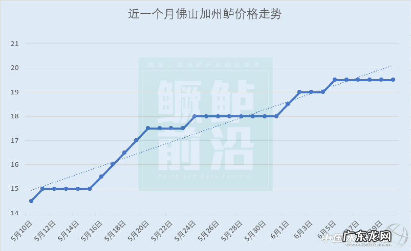 超市鲈鱼多少钱一斤 鲈鱼多少钱一斤2020