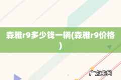 森雅r9价格 森雅r9多少钱一辆