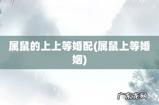 属鼠上等婚姻 属鼠的上上等婚配