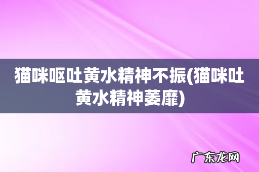 猫咪吐黄水精神萎靡 猫咪呕吐黄水精神不振