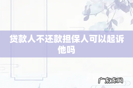 贷款人不还款担保人可以起诉他吗