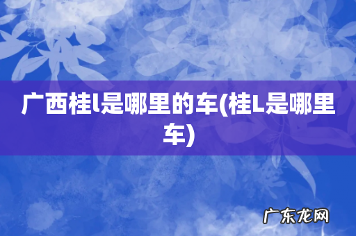桂L是哪里车 广西桂l是哪里的车