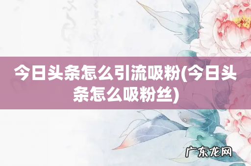 今日头条怎么吸粉丝 今日头条怎么引流吸粉