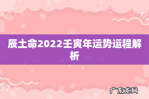 辰土命2022壬寅年运势运程解析