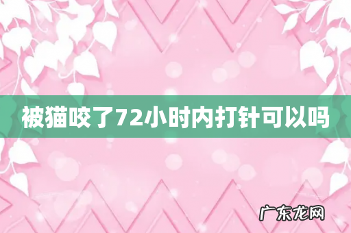 被猫咬了72小时内打针可以吗