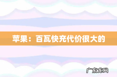 苹果：百瓦快充代价很大的