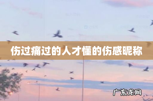 伤过痛过的人才懂的伤感昵称