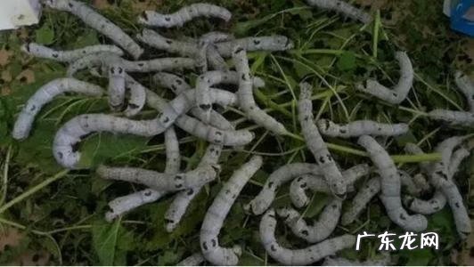 风水学在大学叫什么 大学学风水吗