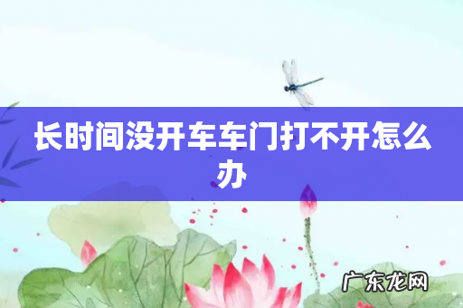 长时间没开车车门打不开怎么办