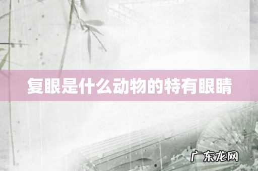 复眼是什么动物的特有眼睛