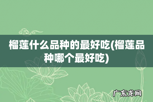 榴莲品种哪个最好吃 榴莲什么品种的最好吃