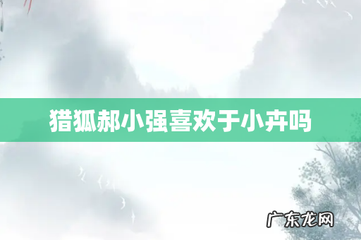 猎狐郝小强喜欢于小卉吗