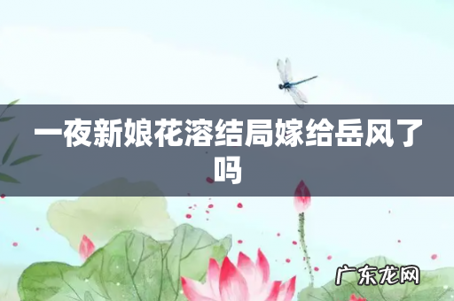 一夜新娘花溶结局嫁给岳风了吗