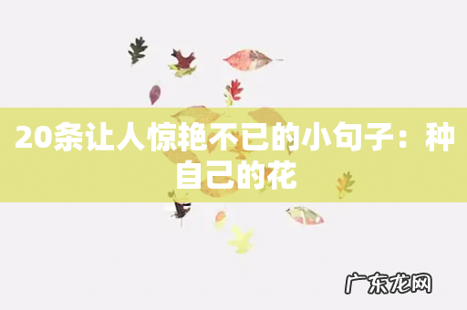 20条让人惊艳不已的小句子：种自己的花