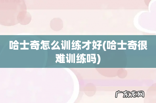 哈士奇很难训练吗 哈士奇怎么训练才好