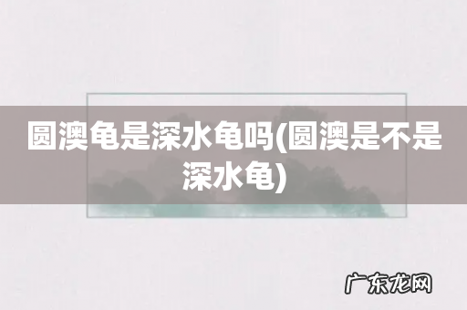 圆澳是不是深水龟 圆澳龟是深水龟吗