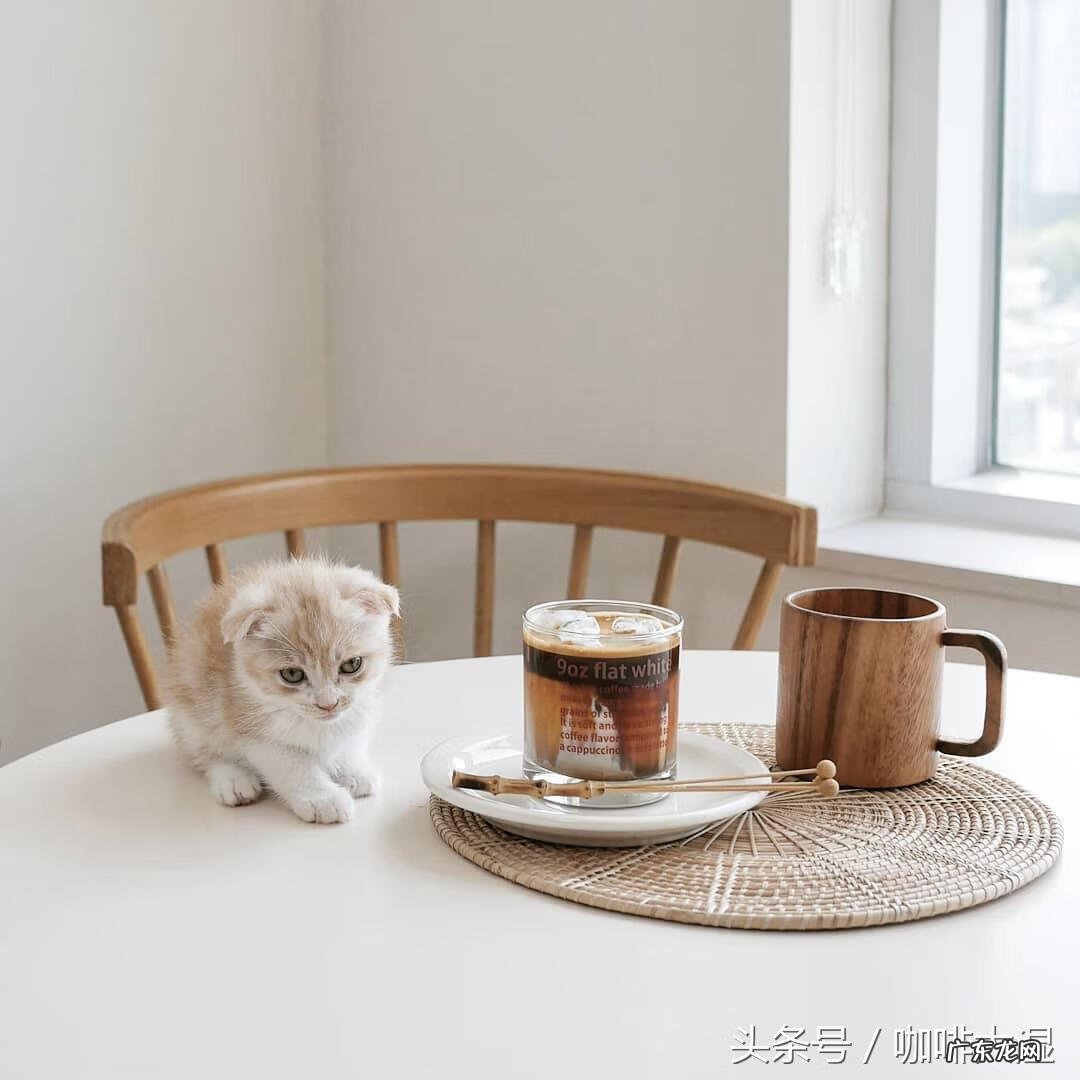 咖啡课程培训介绍 咖啡培训师