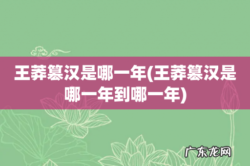 王莽篡汉是哪一年到哪一年 王莽篡汉是哪一年