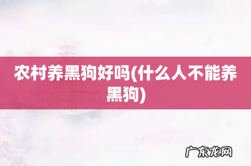 什么人不能养黑狗 农村养黑狗好吗
