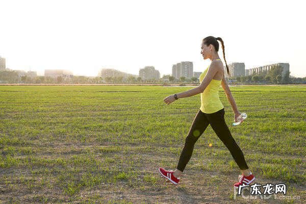 左旋肉碱吃多久就要停掉 吃左旋肉碱多久能瘦下来