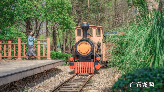 疫情期间免费退票 火车票退票规则