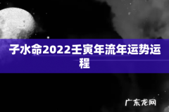 子水命2022壬寅年流年运势运程