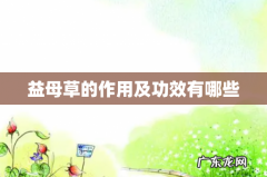 益母草的作用及功效有哪些