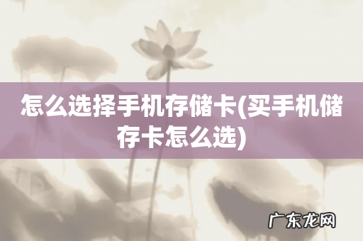 买手机储存卡怎么选 怎么选择手机存储卡