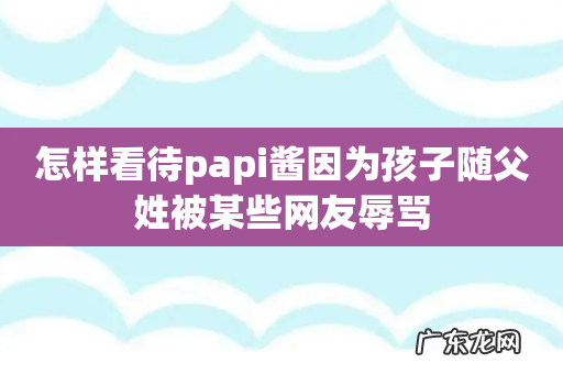 怎样看待papi酱因为孩子随父姓被某些网友辱骂