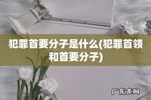 犯罪首领和首要分子 犯罪首要分子是什么