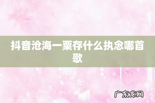 抖音沧海一粟存什么执念哪首歌