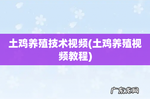 土鸡养殖视频教程 土鸡养殖技术视频